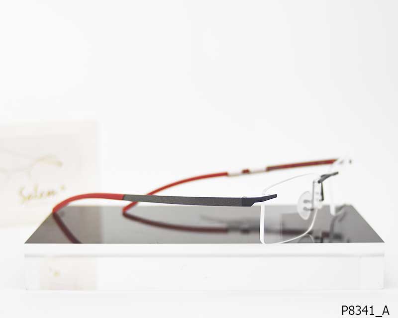 PORSCHE DESIGN P8341_A