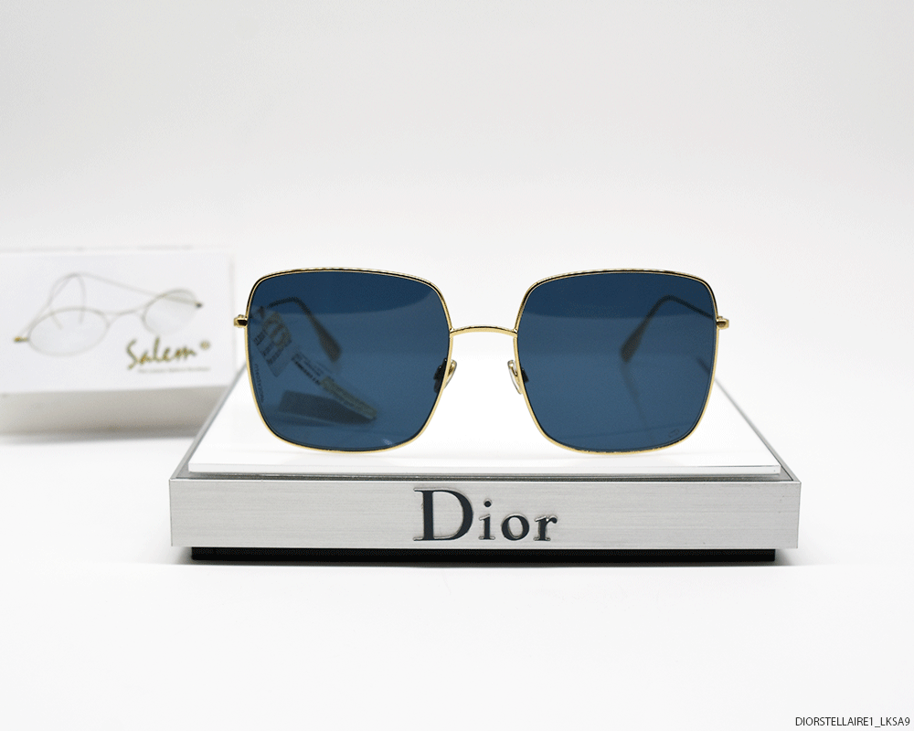 CHRISTIAN DIOR