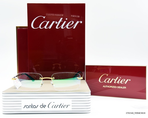 [CT0254O_T0XMC58130] CARTIER