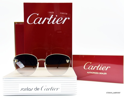 [CT0301S_A40F05M7] CARTIER